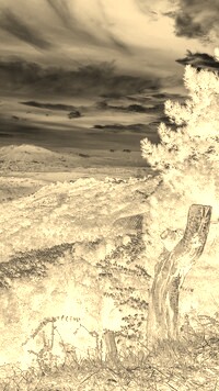 Sepia + Negatyw