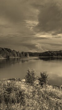 Szary + Sepia