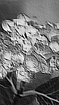 Skamielina