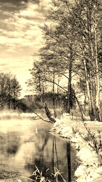 Szary + Sepia
