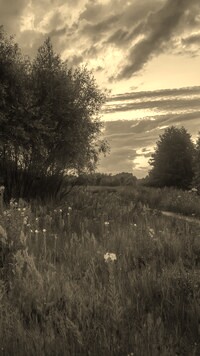 Szary + Sepia