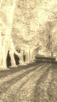 Sepia + Negatyw