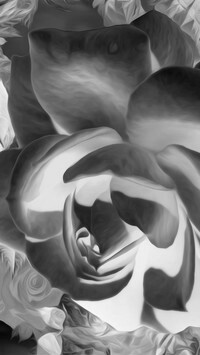 Szary + Negatyw