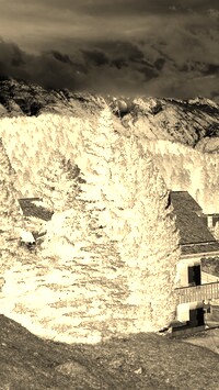 Sepia + Negatyw
