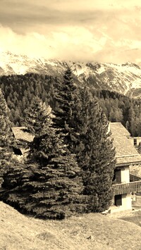 Szary + Sepia
