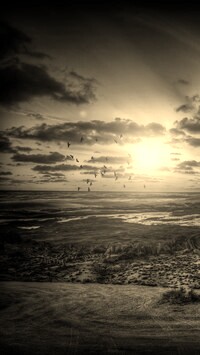 Sepia