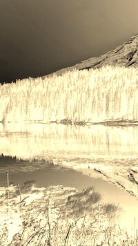 Sepia + Negatyw