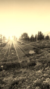 Szary + Sepia