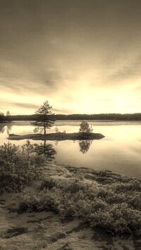 Szary + Sepia