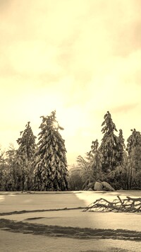 Szary + Sepia