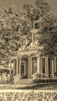 Szary + Sepia