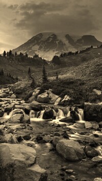 Sepia