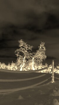Sepia + Negatyw