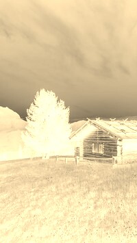 Sepia + Negatyw