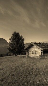 Szary + Sepia