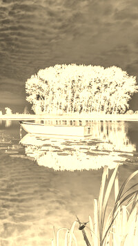 Sepia + Negatyw