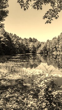 Szary + Sepia