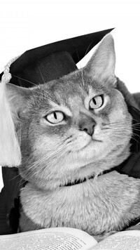 Szary
