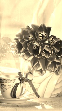 Szary + Sepia