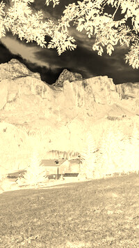 Sepia + Negatyw