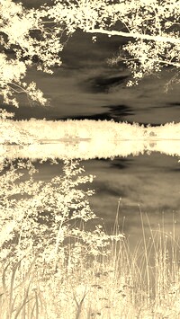 Sepia + Negatyw