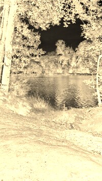 Sepia + Negatyw