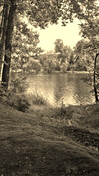 Szary + Sepia