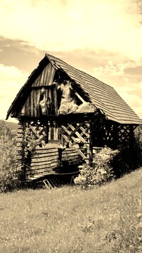 Szary + Sepia
