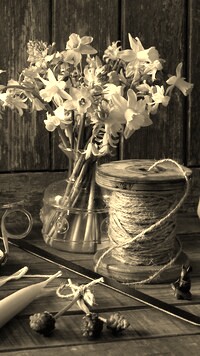 Szary + Sepia