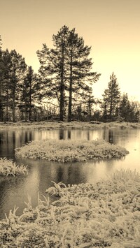 Szary + Sepia