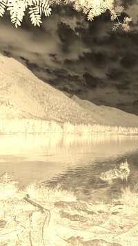 Sepia + Negatyw