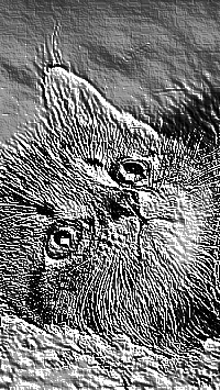 Skamielina