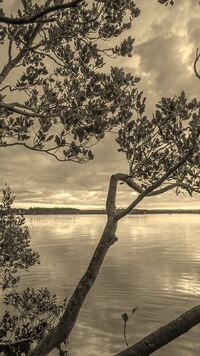 Sepia