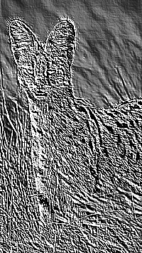 Skamielina