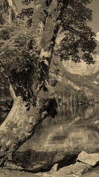 Szary + Sepia