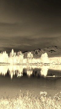 Sepia + Negatyw