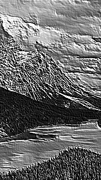 Skamielina
