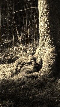 Szary + Sepia