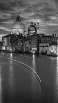 Szary