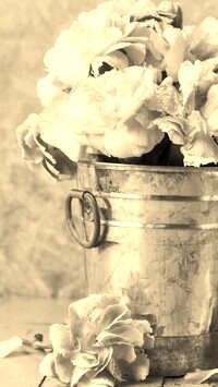 Szary + Sepia