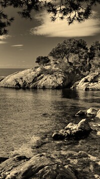 Szary + Sepia