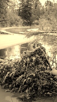 Sepia