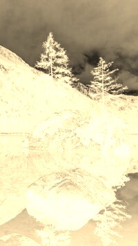 Sepia + Negatyw