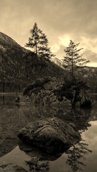 Szary + Sepia