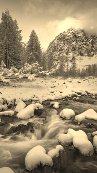 Szary + Sepia