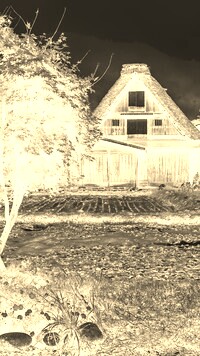 Sepia + Negatyw