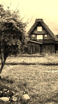 Szary + Sepia