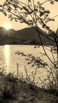Szary + Sepia
