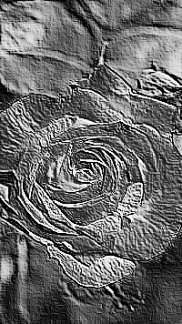 Skamielina