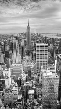 Szary